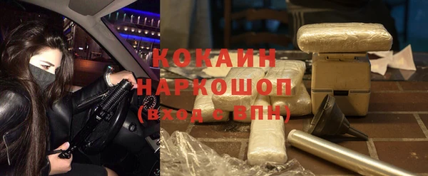 сатива Алзамай
