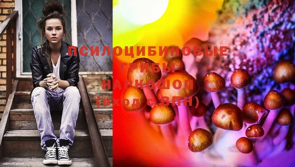 индика Алексеевка