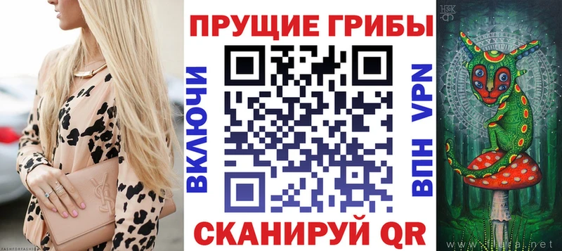 Галлюциногенные грибы Psilocybe Куса